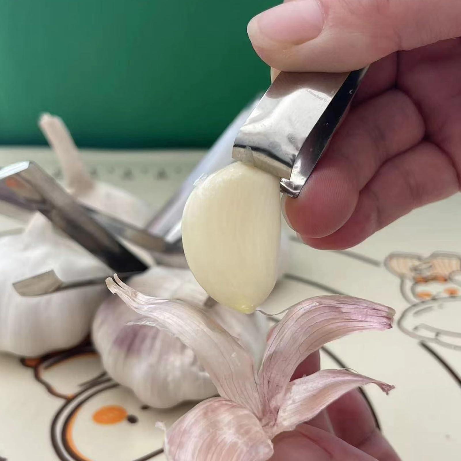 1Pcs Kitchen Garlic Peeler And - Camping Cooking Tool Set review and price