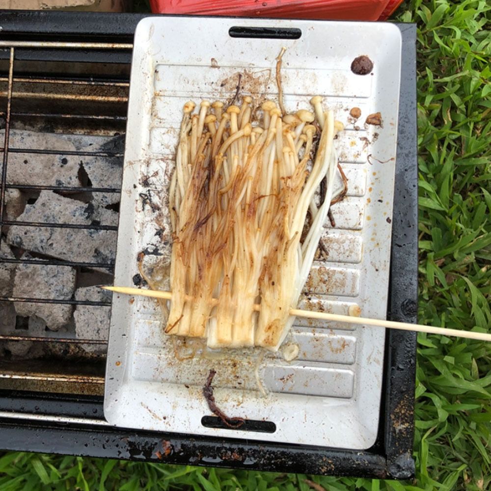 Durable Titanium Camping Grill - Camping Cooking Lightweight review and price