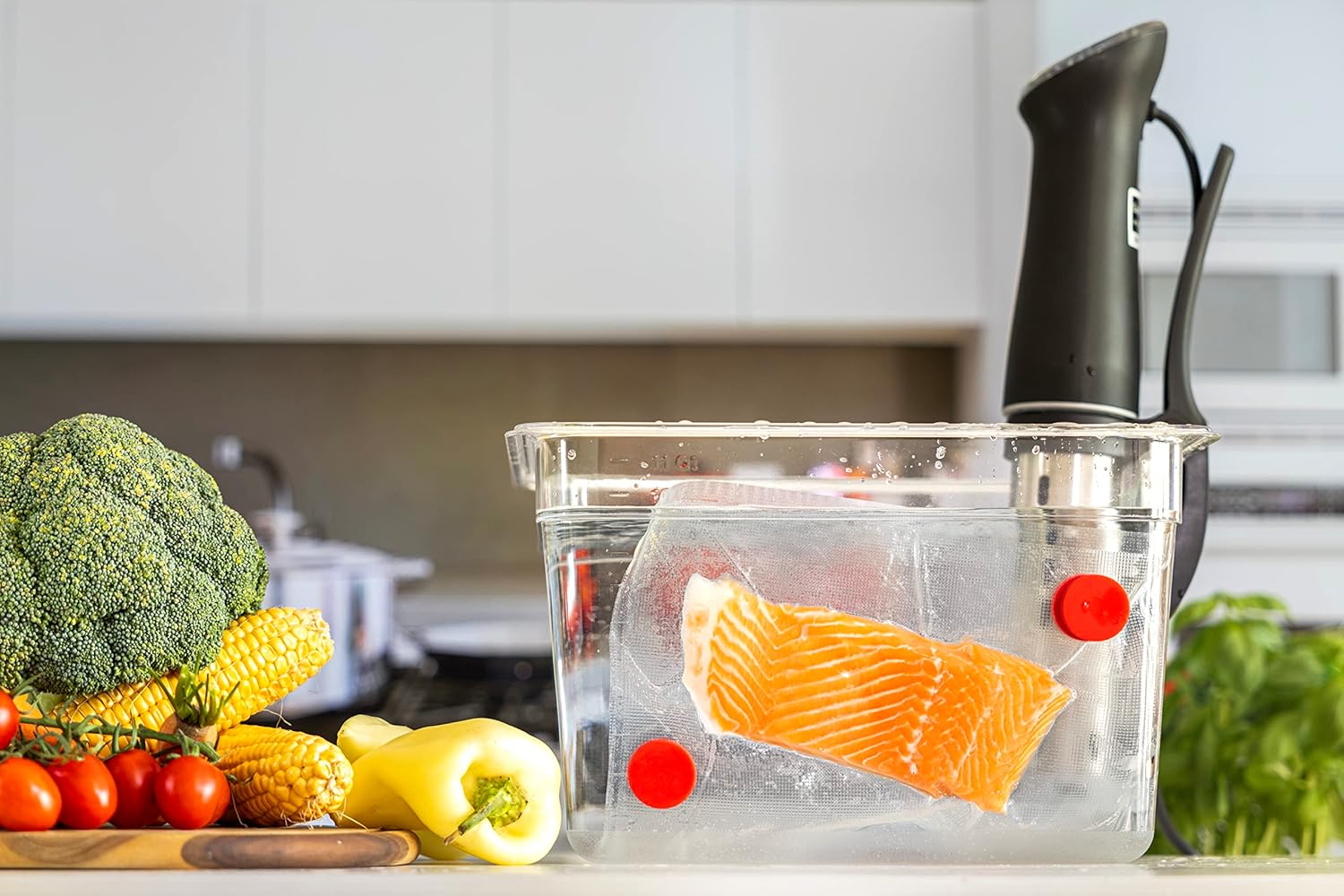 Sous Vide Magnets Set of 8 - F - Camping Cooking Tool Set review and price