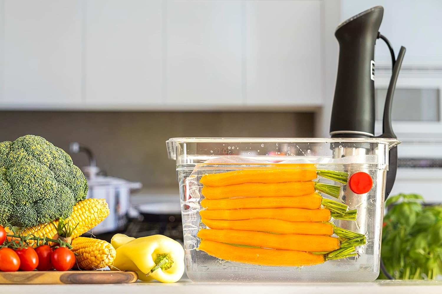 Sous Vide Magnets Set of 8 - F - Camping Cooking Tool Set review and price