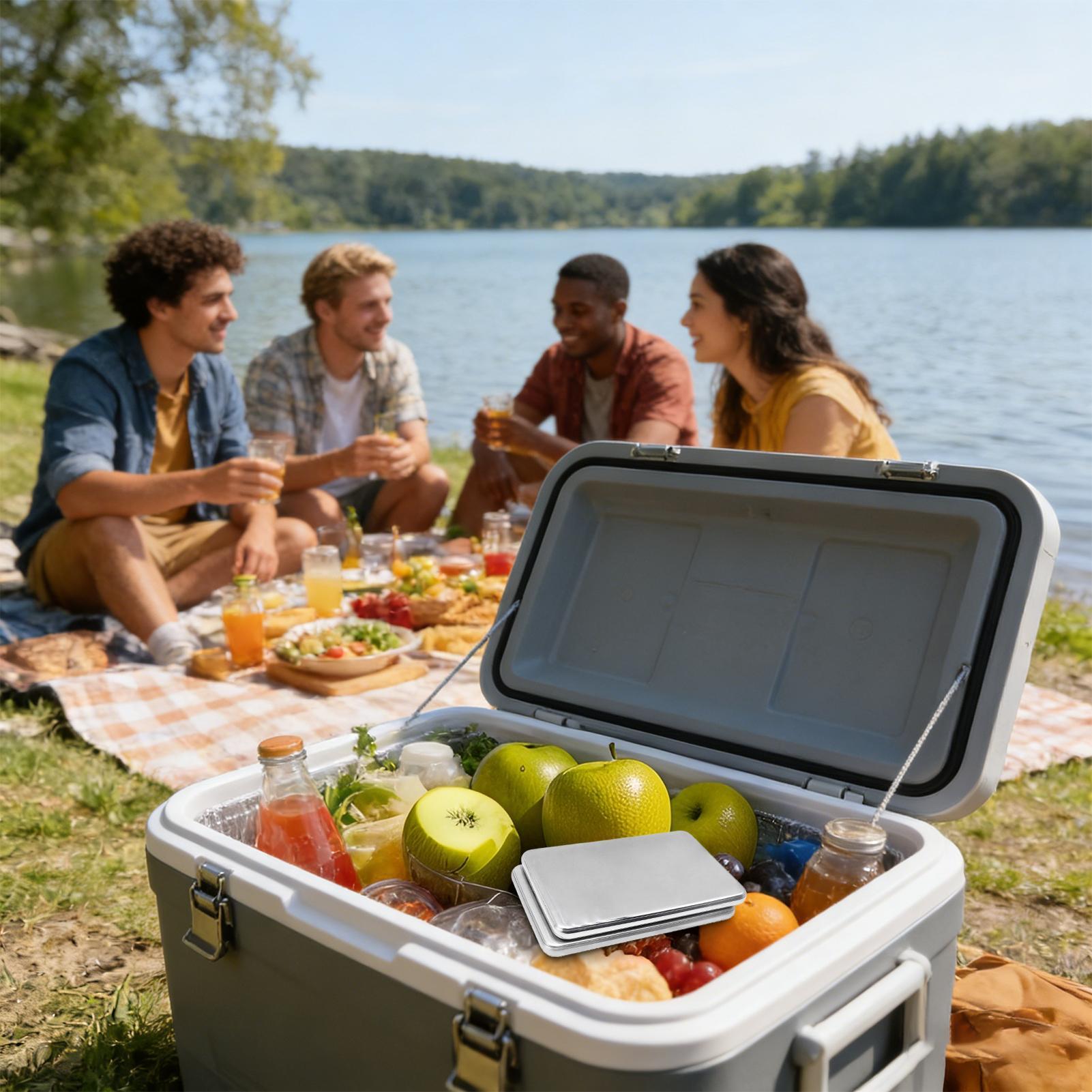 2pcs Stainless Steel Ice Packs - Camping Cooking Box review and price